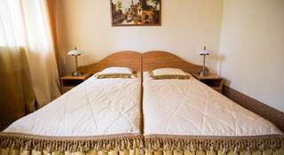 Гостиница Старый Замок Астрахань Стандартный двухместный номер с 1 кроватью или 2 отдельными кроватями-7
